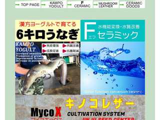MycoXマイコエックス　キノコレザー マッシュルームレザー ヴィーガンレザー バイオマスきのこ菌糸体マットから作る動物皮革代替品 漢方ヨーグルト Fセラミック