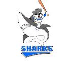 福岡SHARKS公式ホームページ