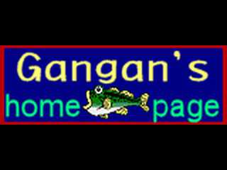 Gangan's Homepage