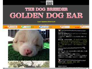 GOLDEN DOG EAR