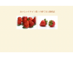 おいしいイチゴ（苺）の育て方と栽培法
