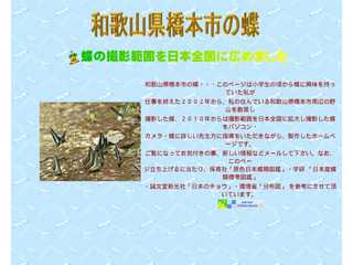 和歌山県橋本市の蝶