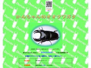 かんちゃんのオオクワガタ
