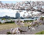 新潟市の風景と旅行のデジタルカメラ写真集