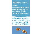台湾墾丁 ダイビングショップ麗島潜水（リーダオダイブ） 日本語ver