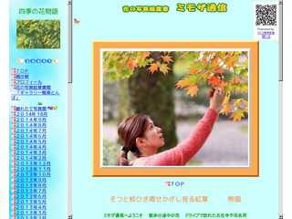 花の写真絵葉書　ミモザ通信