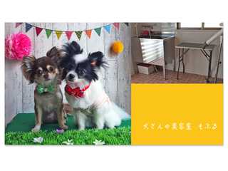 兵庫県明石市西二見にあるドッグサロン、トリミングサロン、ペットホテル「犬さんの美容室mofll」ホームページ