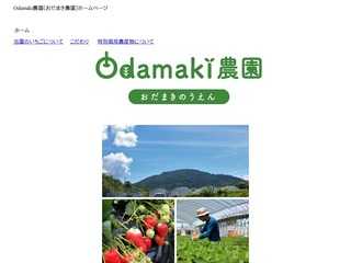 奈良県唯一の特別栽培いちご「古都華」Odaｍaki農園