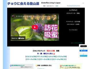 チョウに会える登山道?Butterflies Living in Japan
