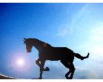 ウイニング・ホース・アシスト(Winning Horse Assist)