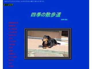 四季の散歩道