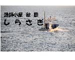 漁師小屋秋田しらさぎホームページ