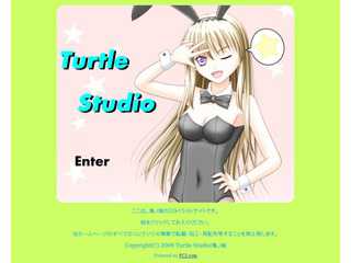 Turtle Studio