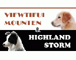 VIEWTIFUL MOUNTEN / HIGHLAND STORM
