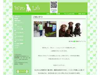 Wan Lab