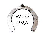 WhiteUma Developer