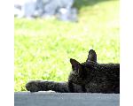 without a sound - okinawa photos